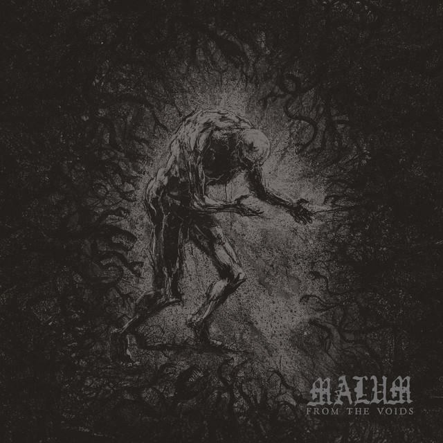 From The Voids cover art