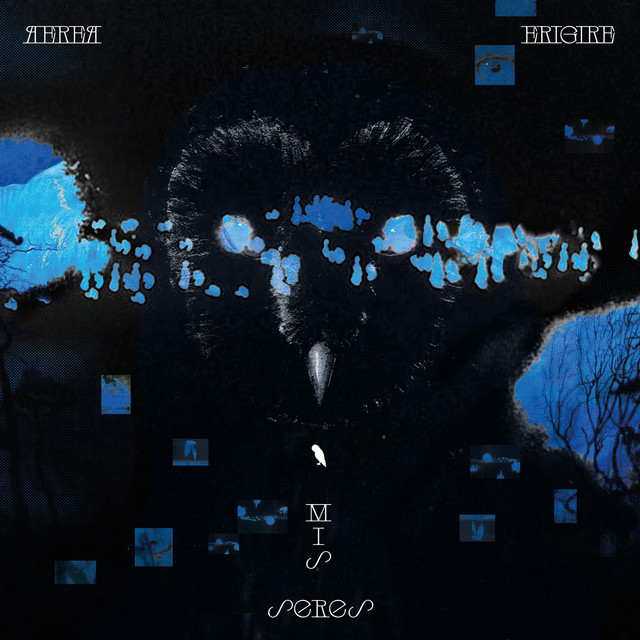 AÉREA ERIGIRÉ MIS SERES cover art