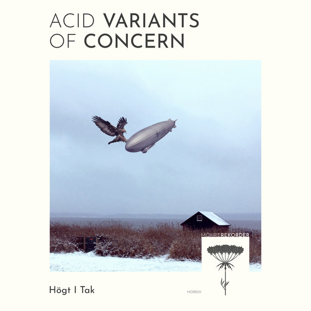Acid Variants Of Concern cover art