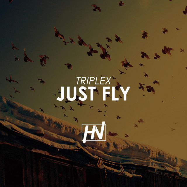 Just Fly cover