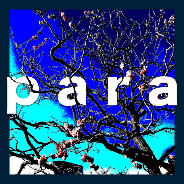 para cover art
