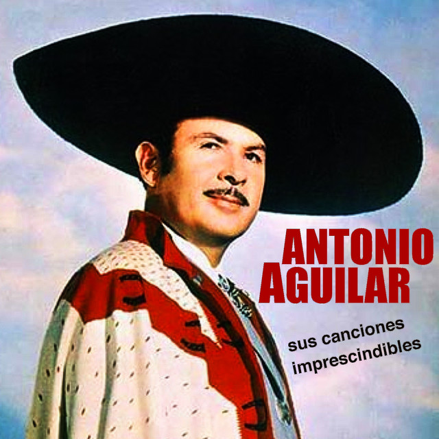 Sus 25 Canciones Imprescindibles cover art