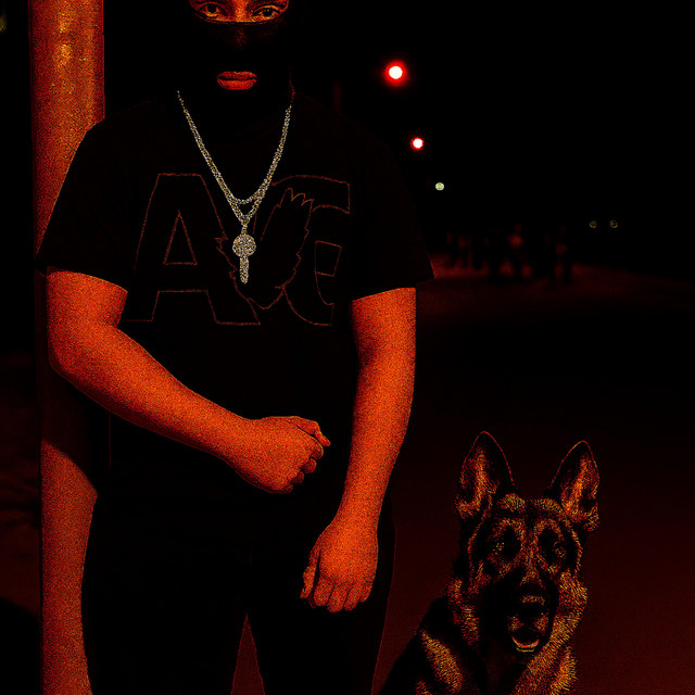 No Signal cover art