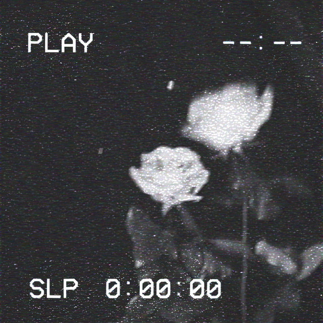 Nova Whitley (Slowed And Reverbed) cover art