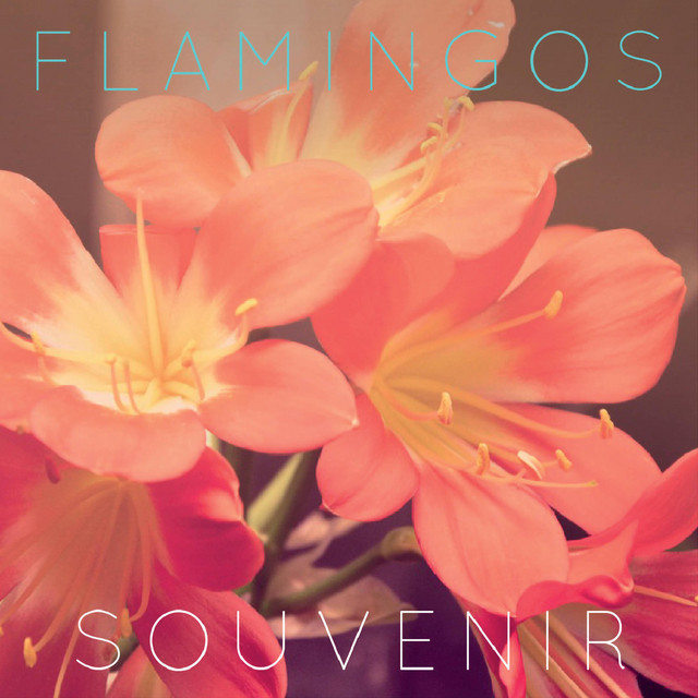 Flamingos
