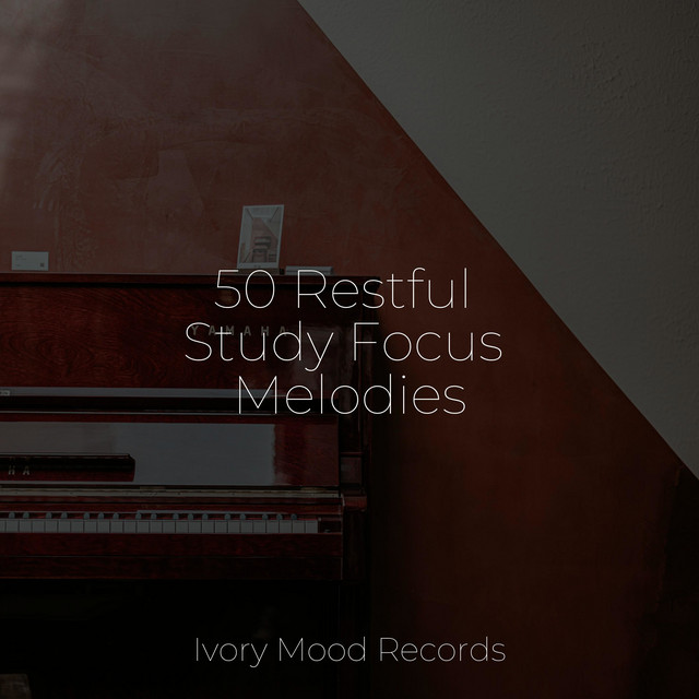 50 Restful Study Focus Melodies - Album by SD | Spotify