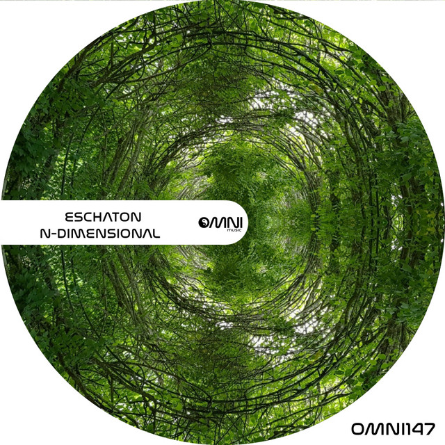 n-Dimensional cover art