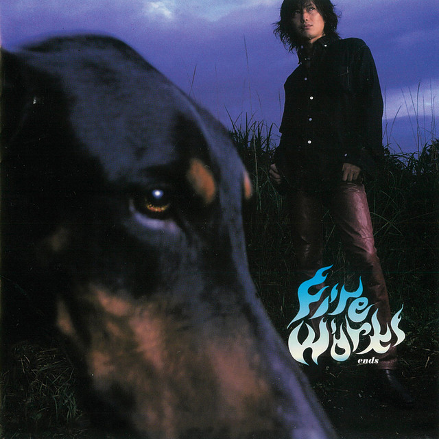 FIRE WORKS cover art