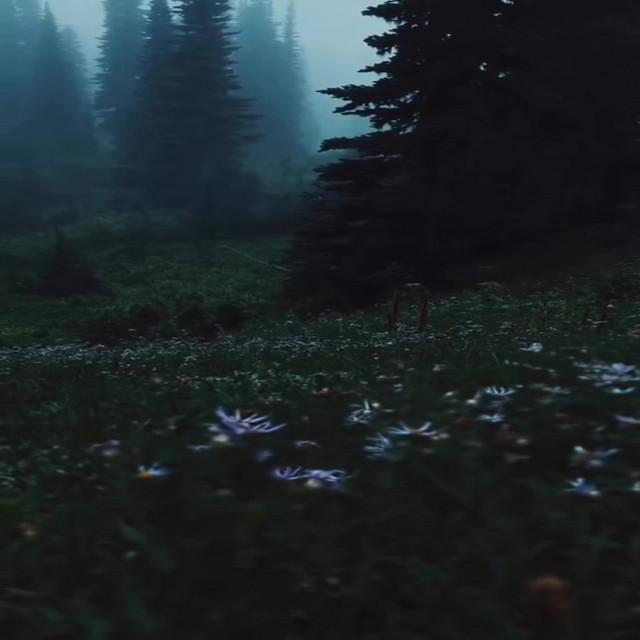 Insomnia cover art