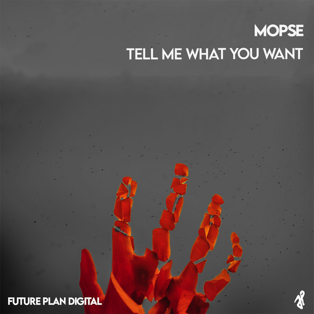 Mopse Photo