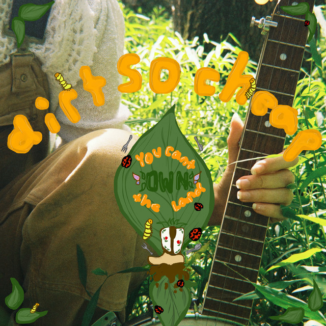 dirt so cheap (you can't own the land) cover art