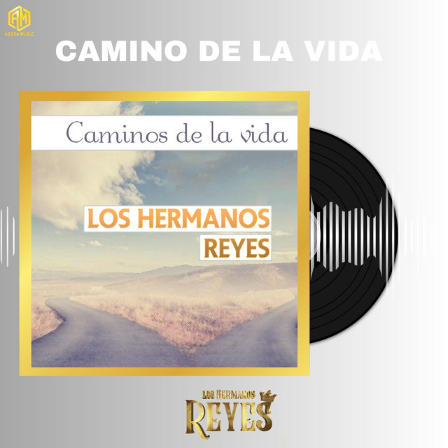 Camino de la Vida cover art