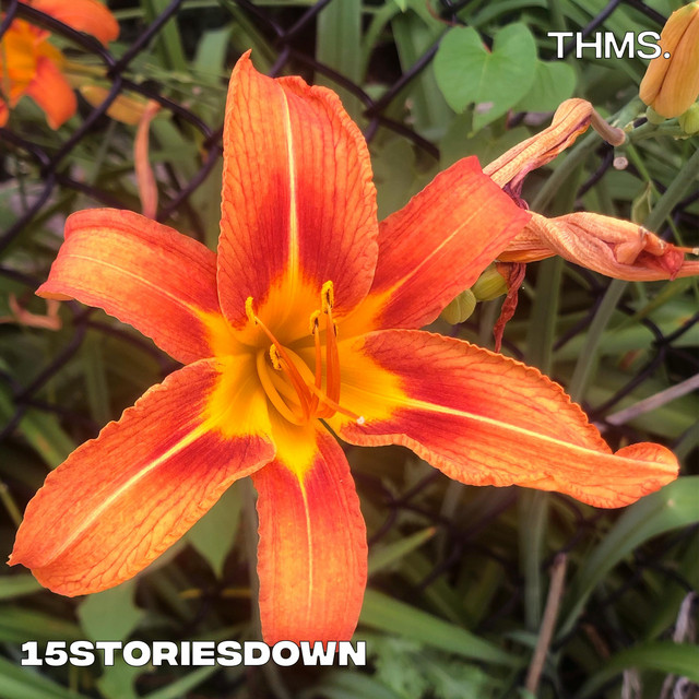 15storiesdown cover art
