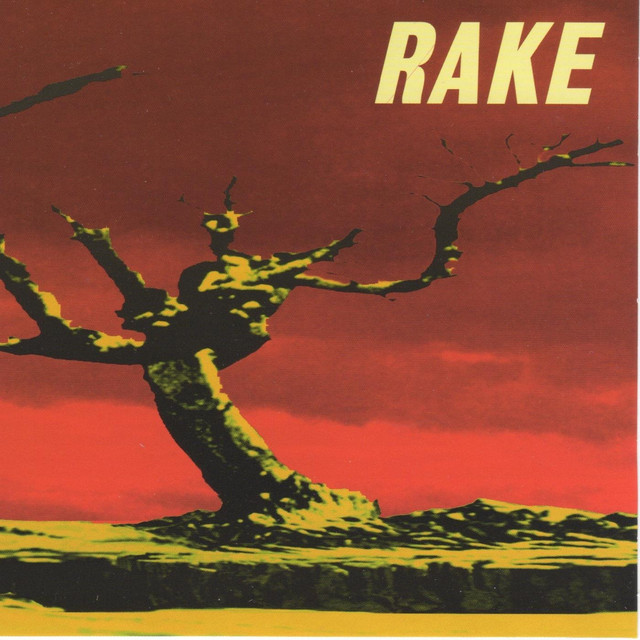 Rake cover