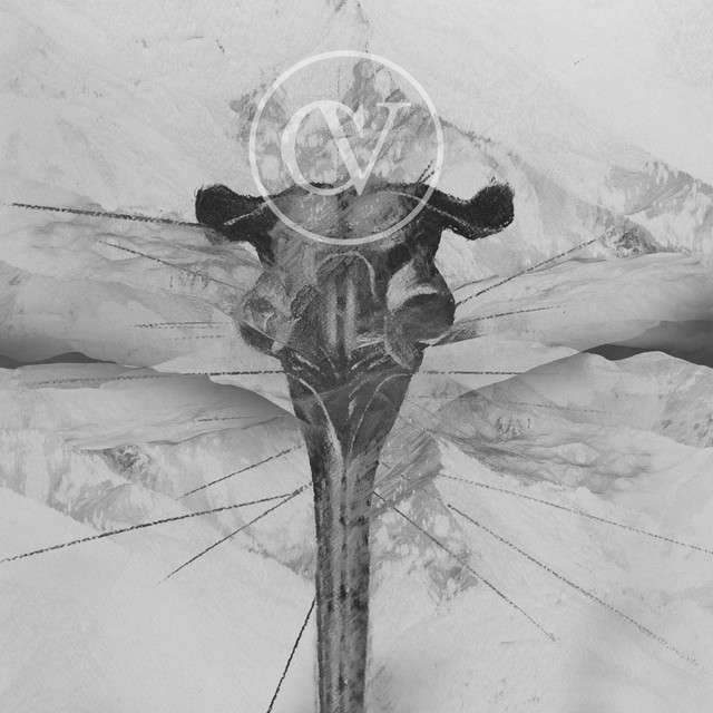 V​.​A Culture of Violence 03 cover