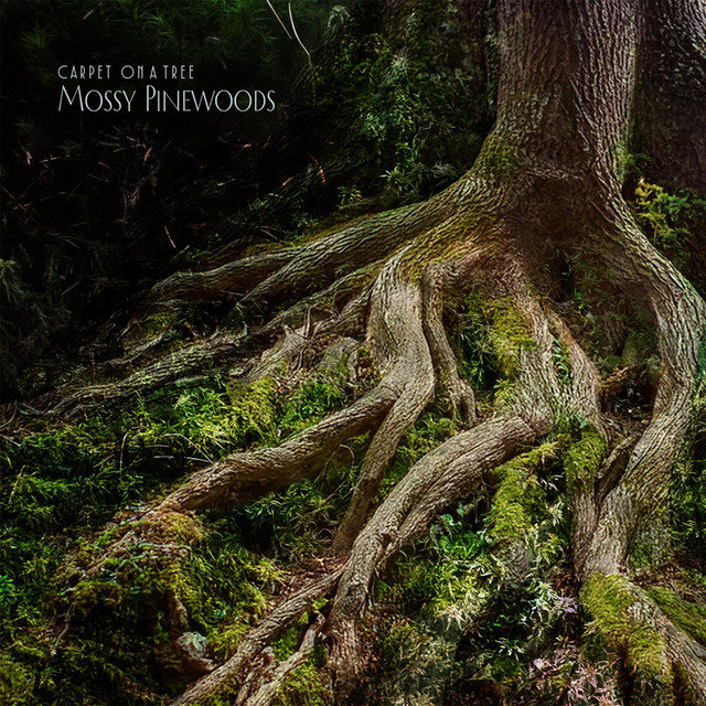 Mossy Pinewoods