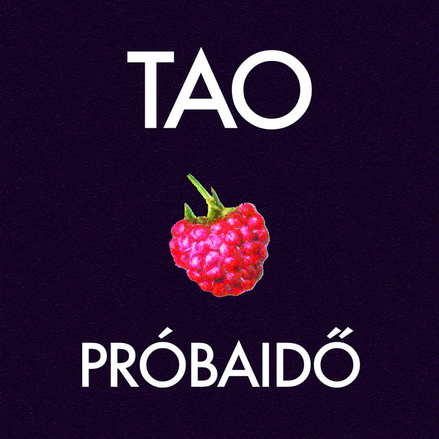 Próbaidő cover art
