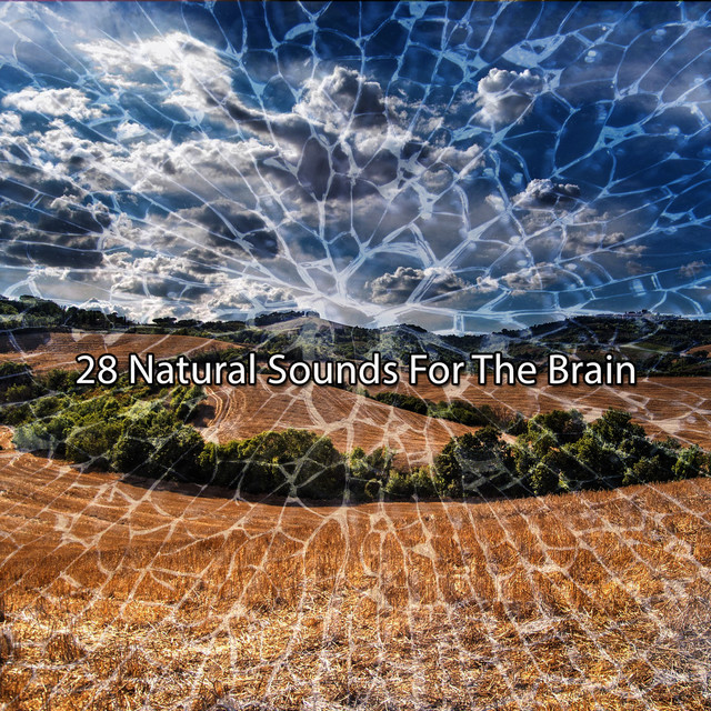 28 Natural Sounds For The Brain cover art