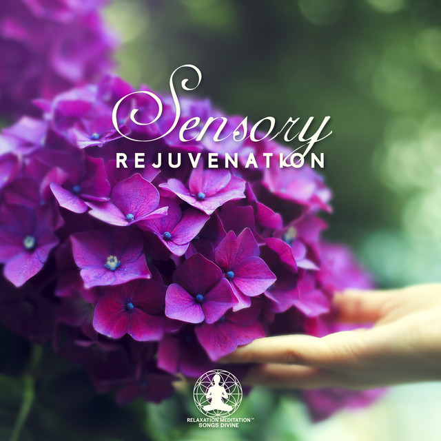 Awakening Body and Mind song and lyrics by Relaxation Meditation