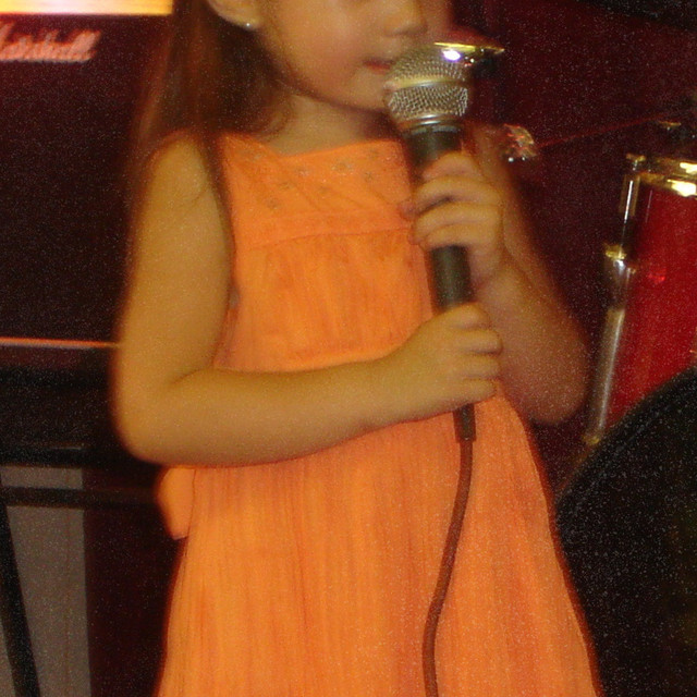 shy cover