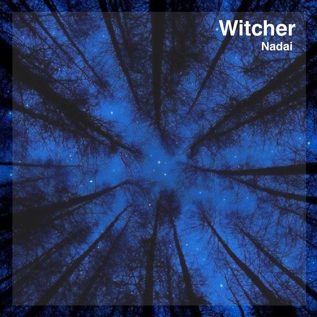 Обкладинка: Witcher — Nadai