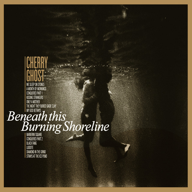 Beneath This Burning Shoreline cover art