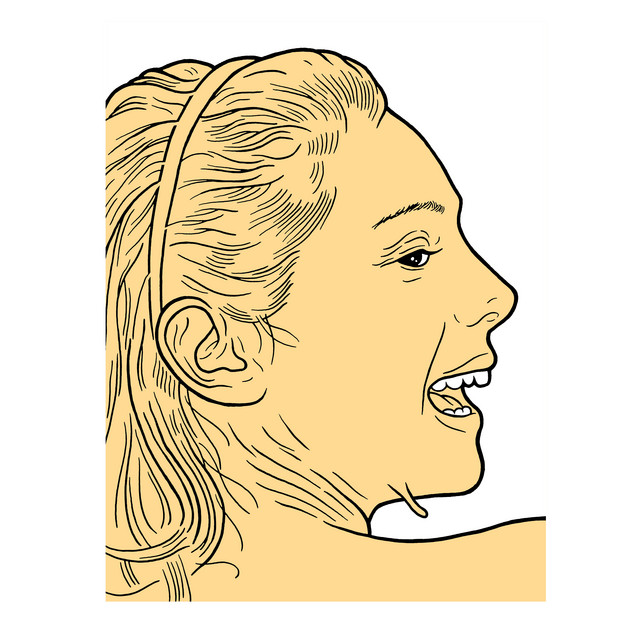 Animal Chin cover art
