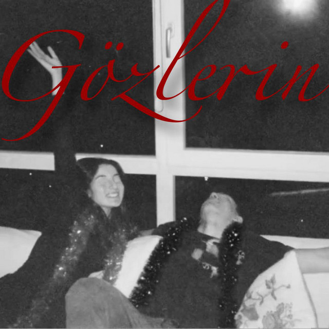 Gözlerin cover art