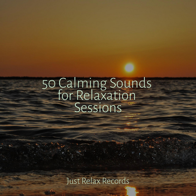 50 Calming Sounds for Relaxation Sessions - Album by Rising Higher ...