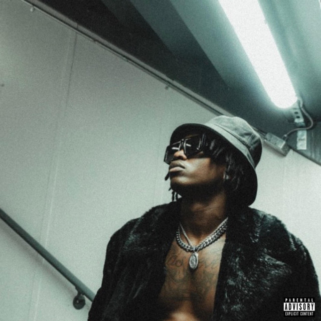 i apologize in advance ... cover art