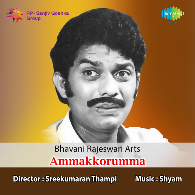 Ammakkorumma cover art