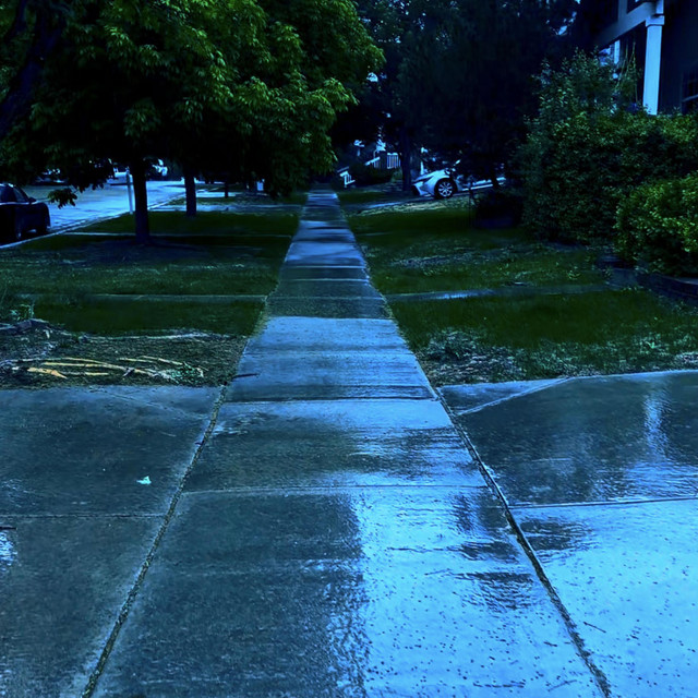 petrichor