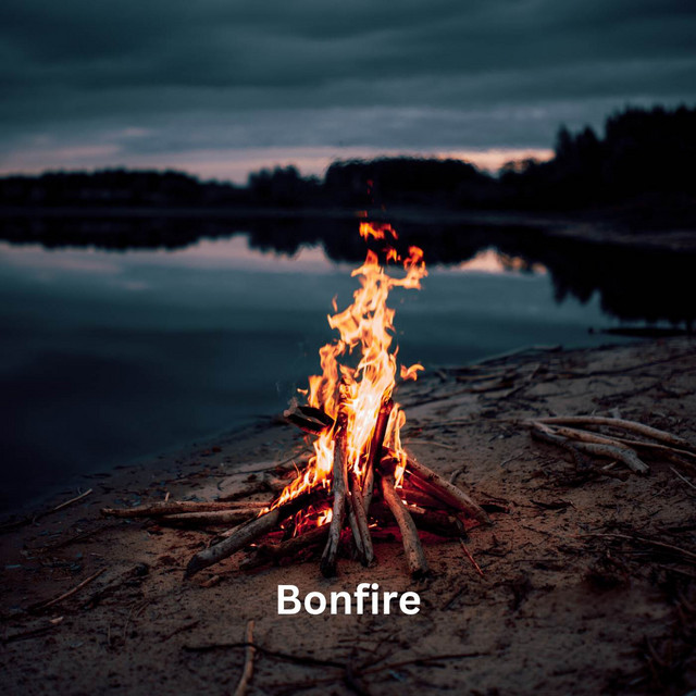 Bonfire cover art