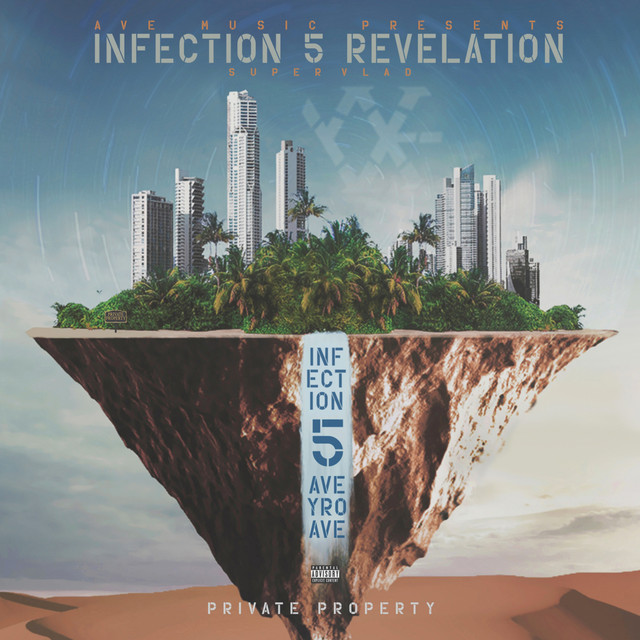Infection 5 Revelation cover art