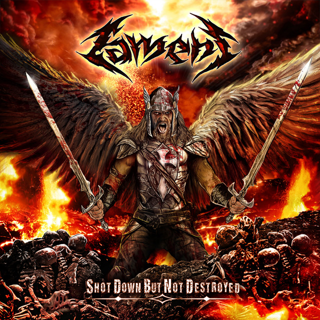 Shot down but not destroyed cover art