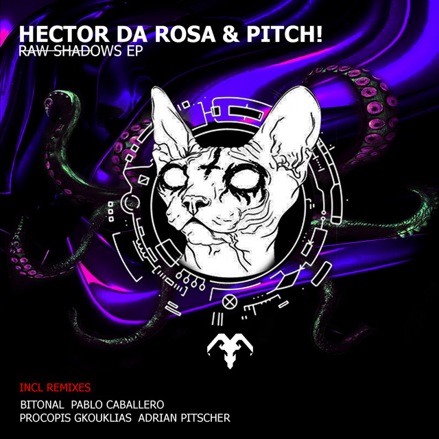 Raw shadows - Bitonal remix cover art