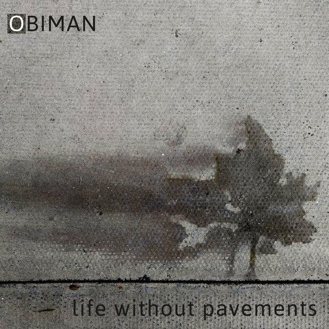 Life Without Pavements cover