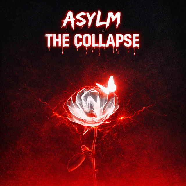 ASYLM