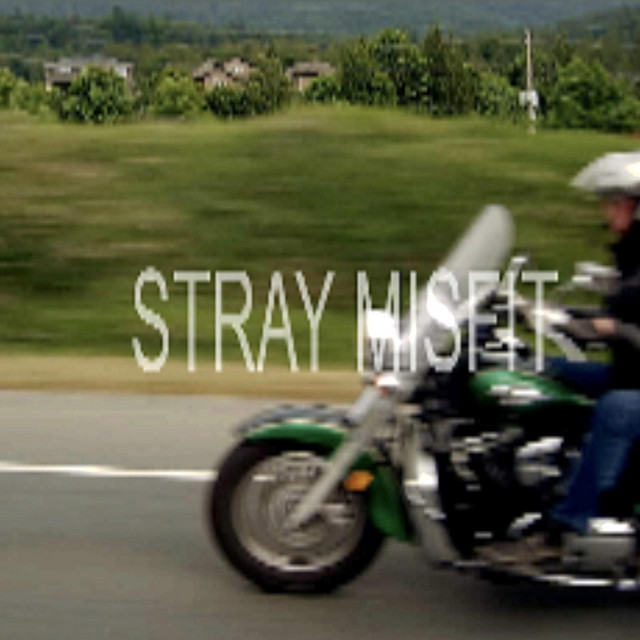 Stray Misfit cover