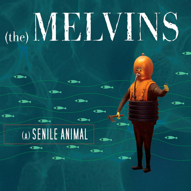 A Senile Animal cover