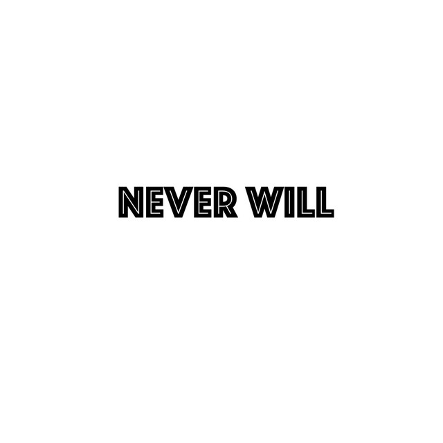 Never Will cover art