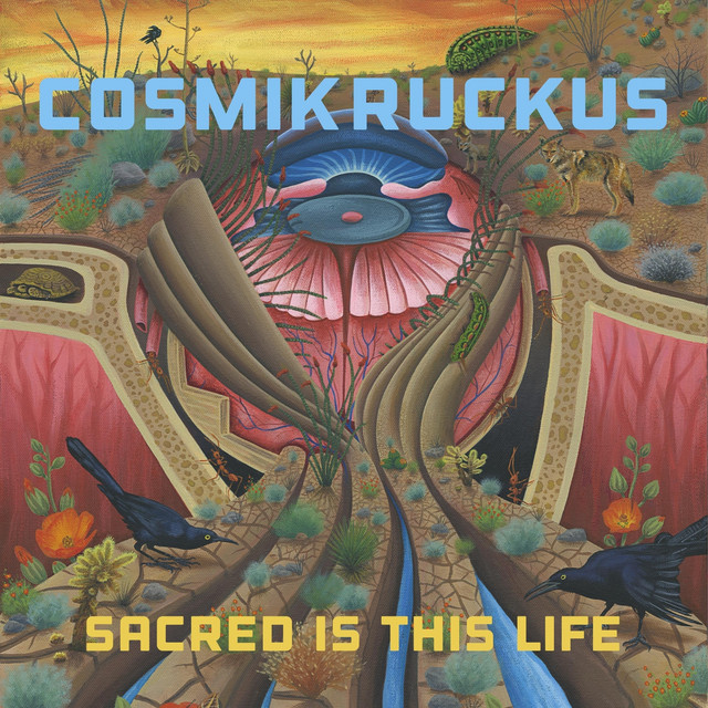 Cosmik Ruckus