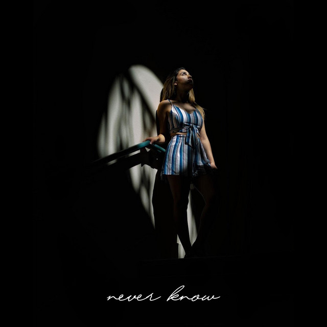 Never Know cover art