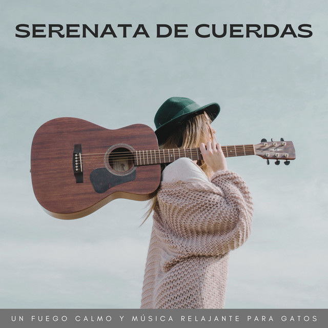 Serenata De Cuerdas: Un Fuego Calmo Y Música Relajante Para Gatos cover art