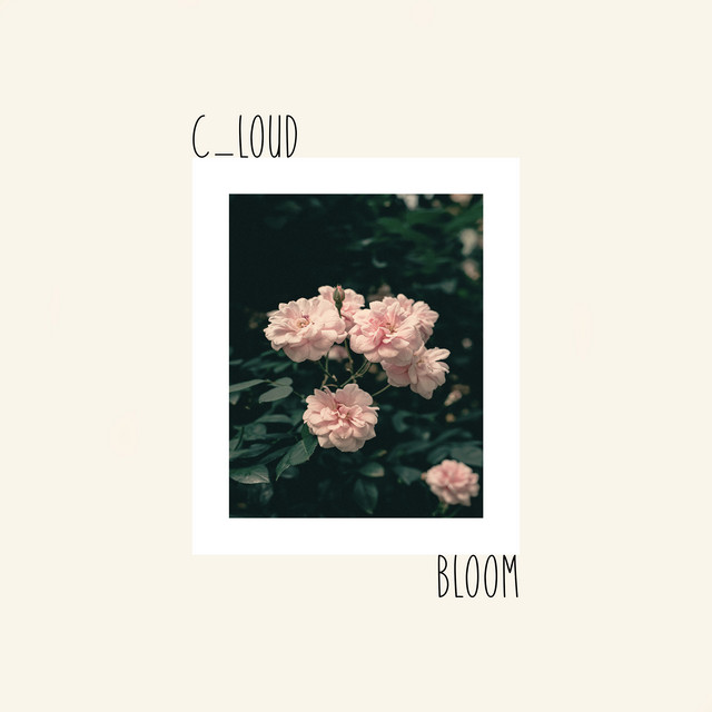 Bloom cover art