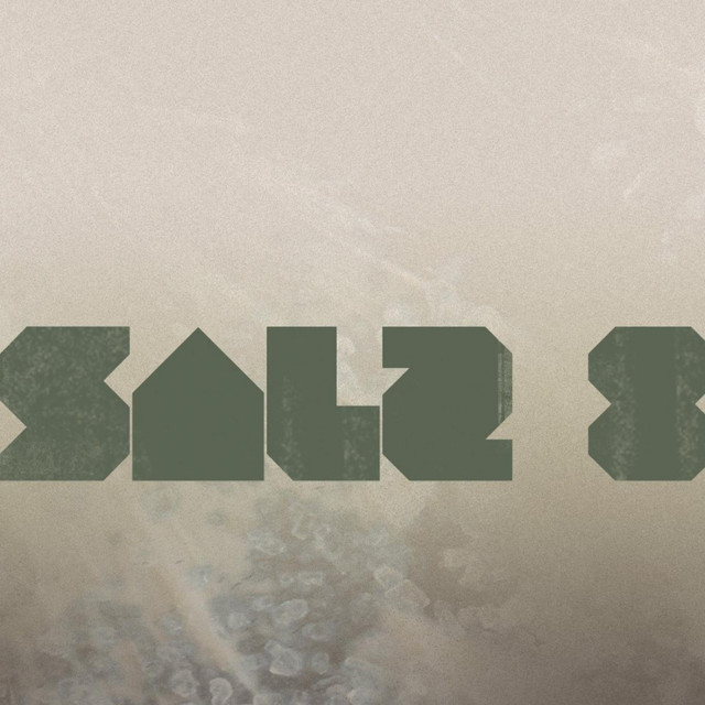 Salz 8 cover art