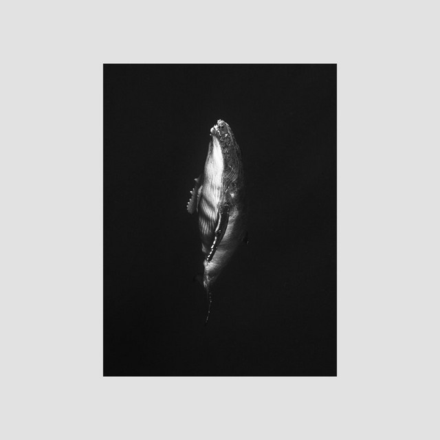 Ambienti e Rovine cover art