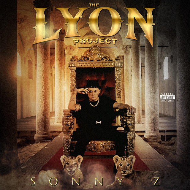 Misunderstood cover art