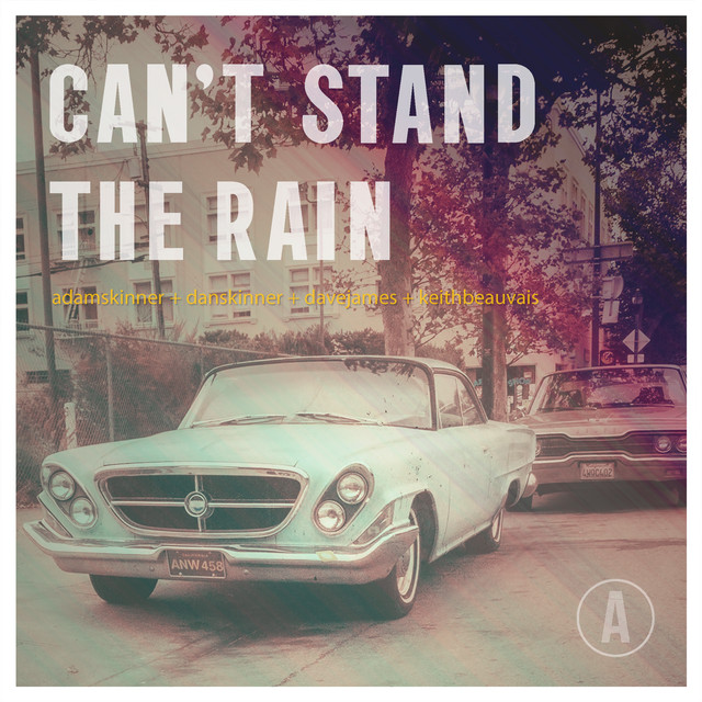 Can't Stand The Rain - song and lyrics by Adam Skinner & Dan