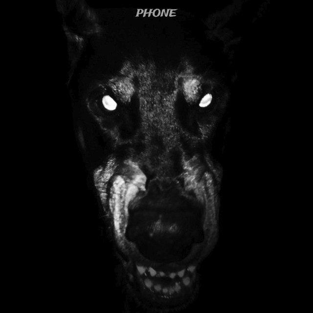 Phone cover art